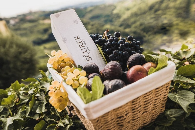 Ščurek ambient foto wine-min